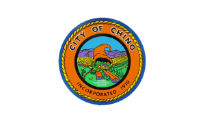 Chino x-ray films recycling