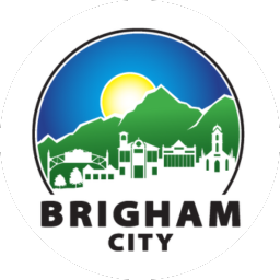 Brigham City x-ray films recycling